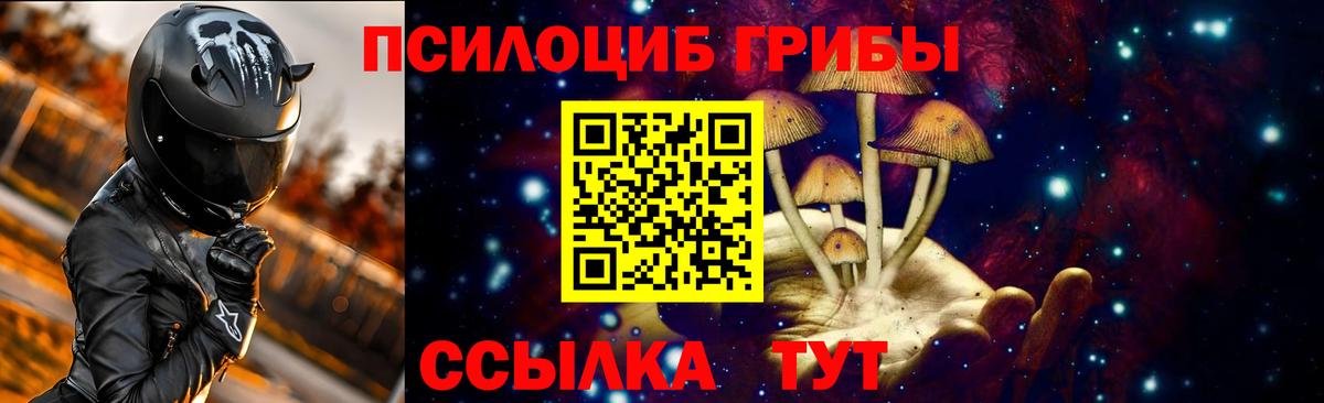 Псилоцибиновые грибы GOLDEN TEACHER Менделеевск